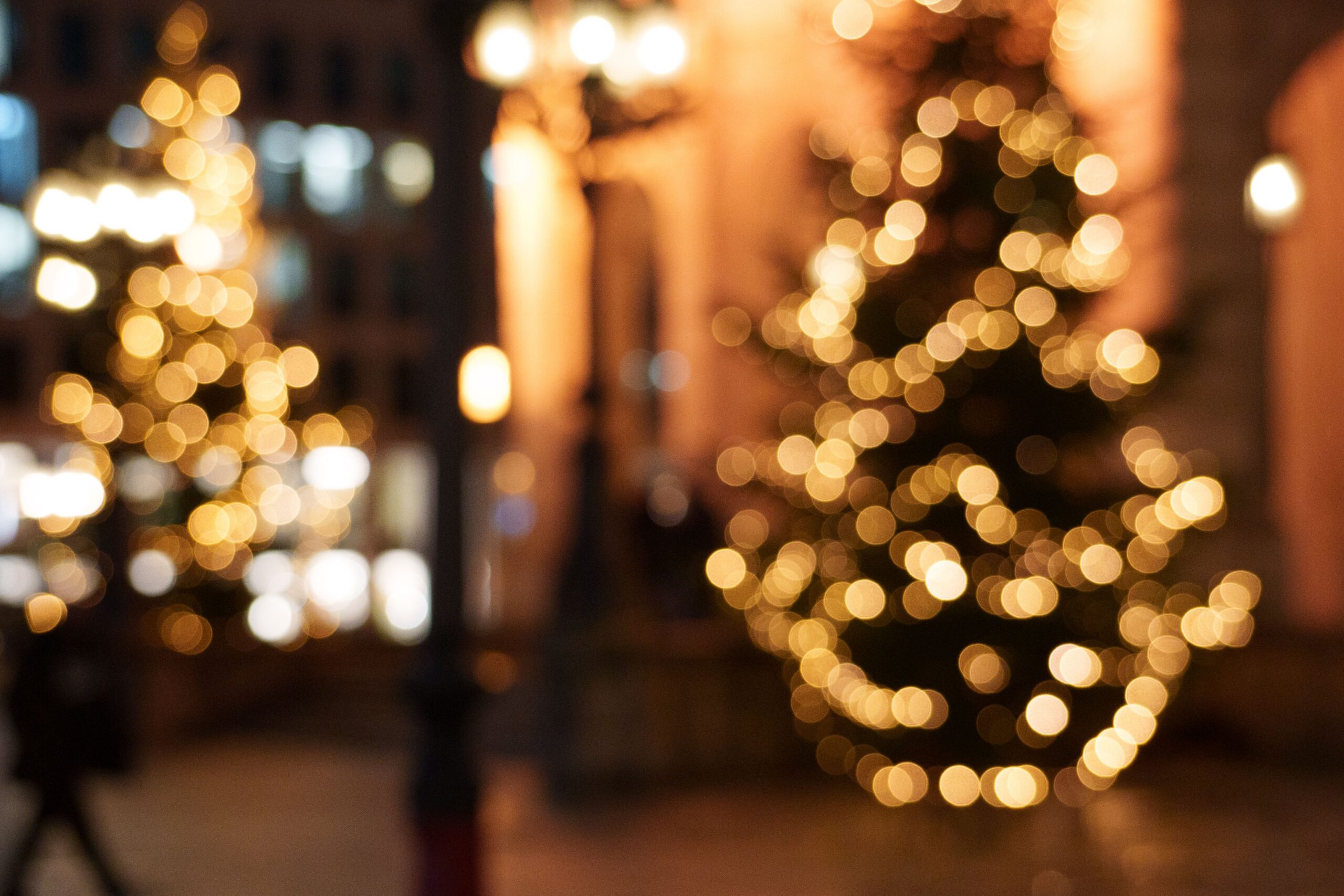 Christmas trees lit with warm string lights on a street at night